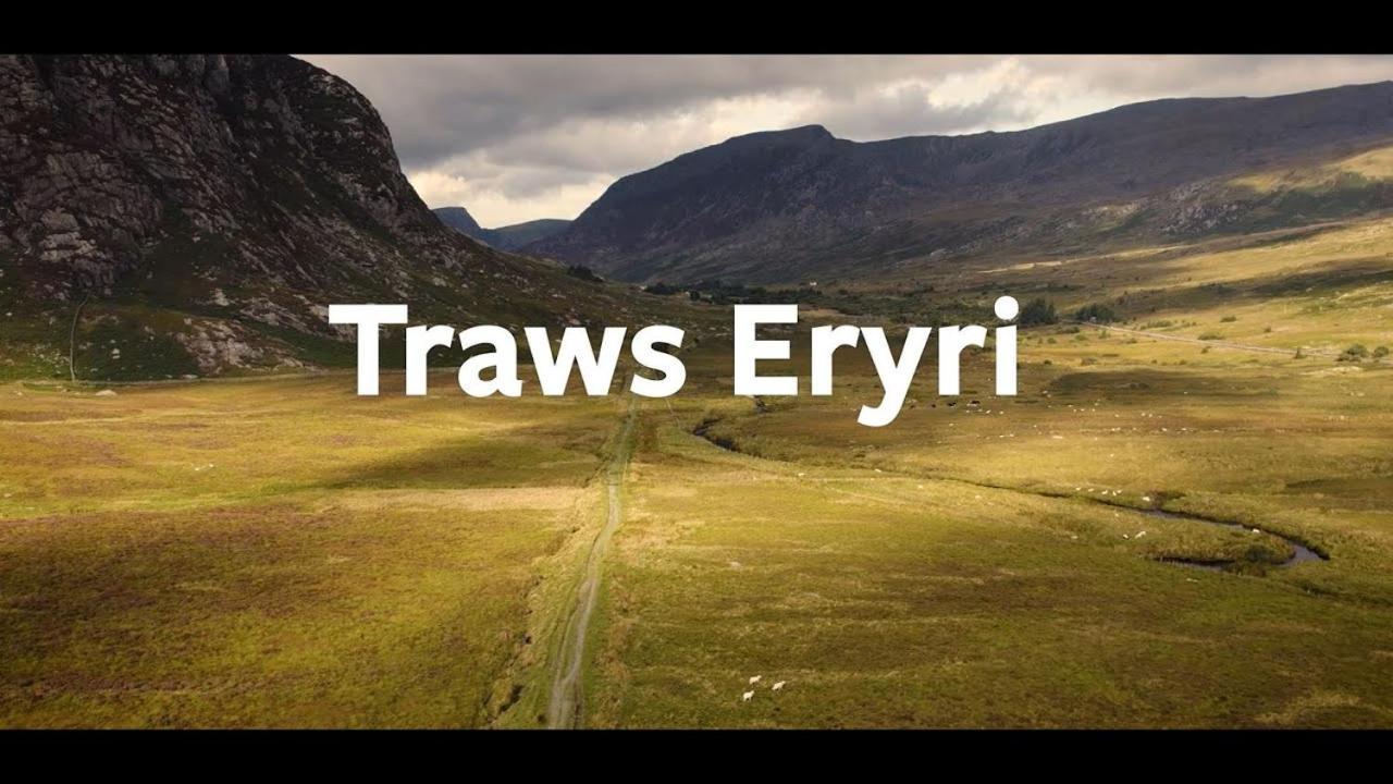 לינה וארוחת בוקר דולגלאו Bryn Mair מראה חיצוני תמונה